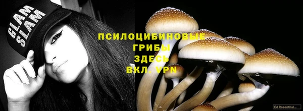 прущая мука Арсеньев