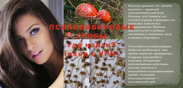 прущая мука Арсеньев